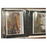 LL - US Stamp Collection - Celebrate the Century Binder, Hollywood Legends & FDCs