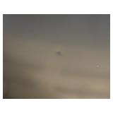 Hisense 10.2 Cubic Foot Upright Convertible Freezer/Fridge