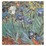 LL - Irises by Vincent van Gogh Print