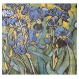 LL - Irises by Vincent van Gogh Print