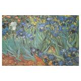 LL - Irises by Vincent van Gogh Print