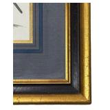 LL - Napoleonic Soldier Print in Gilt Frame