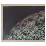 LL - Moon Surface Photographic Print