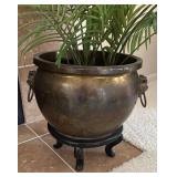 LR - Faux Palm Plant in Brass Planter