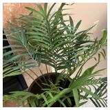 LR - Faux Palm Plant in Brass Planter