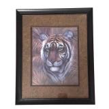 O - Two Tiger & Lion Framed Wildlife Art Prints