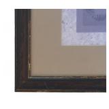 O - Zebra Print by Nancy H. Strailey