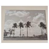 LL - Pair of Framed Vintage Palm Tree Landscape Prints