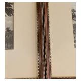 LL - Pair of Framed Vintage Palm Tree Landscape Prints