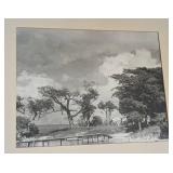 LL - Pair of Framed Vintage Palm Tree Landscape Prints