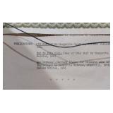 LL - Margarita Galetar Marcel Cat Etching - Framed