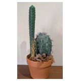 LL - Faux Cactus Plant- Indoor Decorative Arrangement