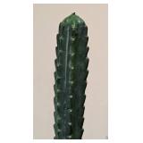 LL - Faux Cactus Plant- Indoor Decorative Arrangement
