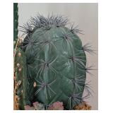 LL - Faux Cactus Plant- Indoor Decorative Arrangement
