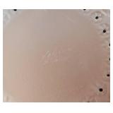 Beautiful Signed LALIQUE "Nemours" Crystal Bowl