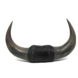 Vintage Western Style Buffalo Horn Wall Display #1