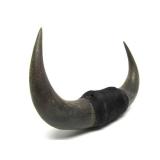 Vintage Western Style Buffalo Horn Wall Display #1
