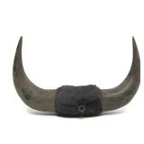 Vintage Western Style Buffalo Horn Wall Display #1