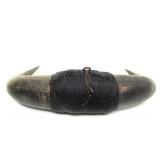 Vintage Western Style Buffalo Horn Wall Display #1