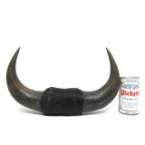 Vintage Western Style Buffalo Horn Wall Display #1
