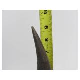 Vintage Western Style Buffalo Horn Wall Display #1