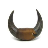 Vintage Western Style Buffalo Horn Wall Display #2