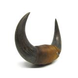 Vintage Western Style Buffalo Horn Wall Display #2