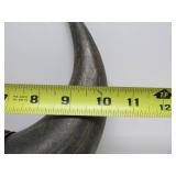 Vintage Western Style Buffalo Horn Wall Display #2
