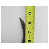 Vintage Western Style Buffalo Horn Wall Display #2