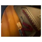 Wonderful STEINWAY Grand Piano in Excellent Condition & Recently Tuned - FREE DELIVERY!!!