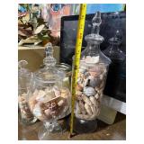 Set of 3 Glass Apothecary Jars w Seashells Coastal Decor Lidded