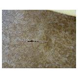 Kimball Console Upright Piano Walnut Finish w/ Bench & Lamp