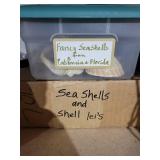 Sea Shells & Shell Leis - California & Florida Collection