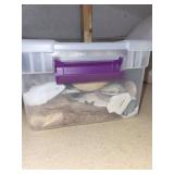 Sea Shells & Shell Leis - California & Florida Collection