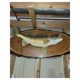 Largemouth Bass - Live Edge Wood Plaque Wall Mount