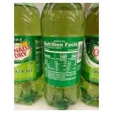 PLST 3 - Canada Dry Ginger Ale 1 L Bottles (Lot of 5)