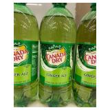 PLST 3 - Canada Dry Ginger Ale 1 L Bottles (Lot of 5)