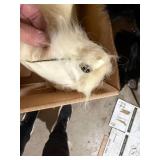 Vintage Real Fur Collar & Black Fur Craft Lot Eaton