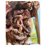 Vintage Nylon Pantyhose Hosiery Lot Brown Nude Shades Phantom Mixed Box