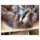 Vintage Real Fur Lot Sheared Pelts Stoles Collars Craft Wear As Found