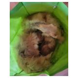 Sheepskin Rug - White Natural Long-Curly Fur, Leather Backing