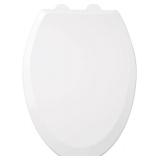 Signature Hardware 447329 Toilet Seat