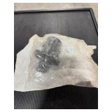 Straight, Barbed 2 1/2", Barbed 1 1/2