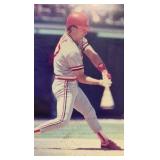 St. Louis Cardinals Framed Autographed Baseball Player