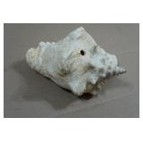 Vintage Painted Conch Shell