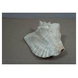 Vintage Painted Conch Shell