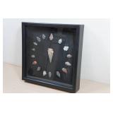 Arrow Head Collection in Shadow Box