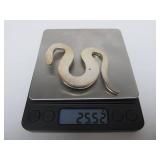 Large Heavy Sterling Silver Snake Brooch