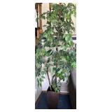 Faux Ficus Benjamina Weeping Fig Tree in Textured Brown Planter