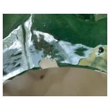 Ceramic Christmas Trees - Green with Multicolor Lights (missing base) and White